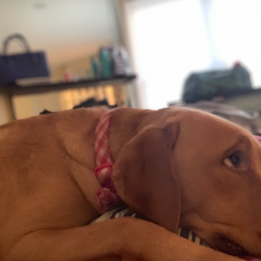 Meet your Posher, Uju